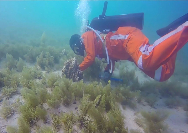 首页- 人生就是博中国官网入口